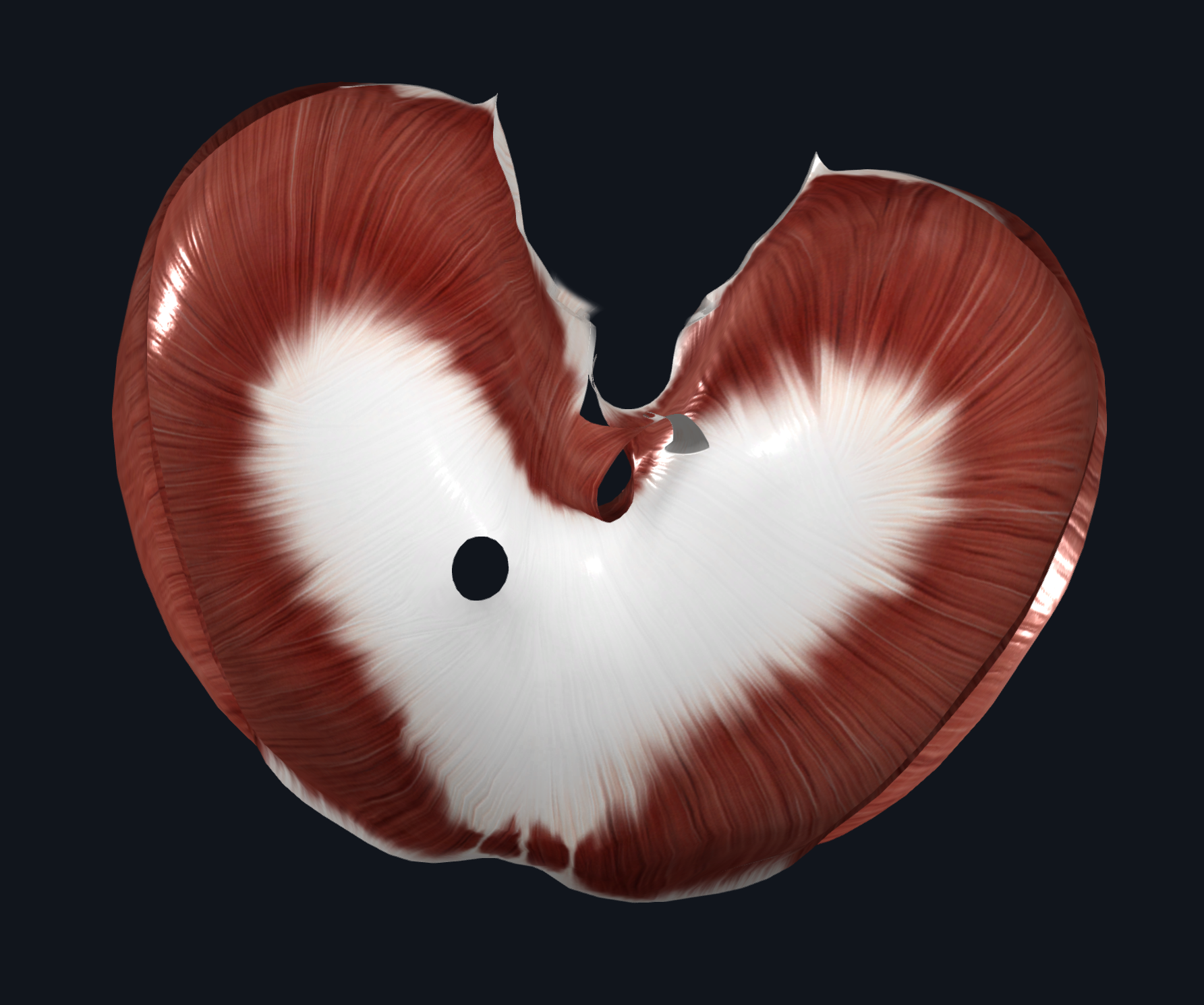 Making even more space for the heart