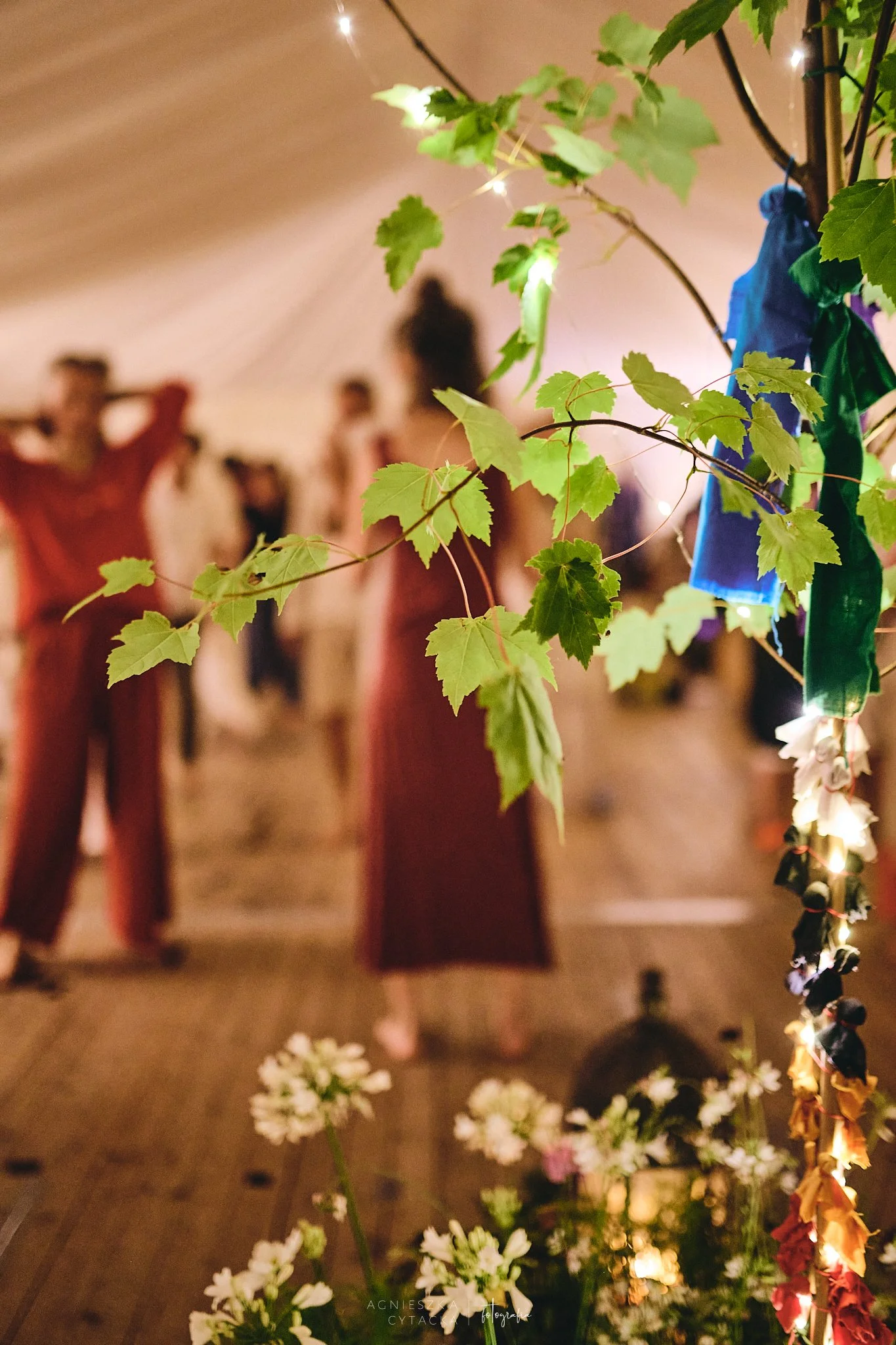 Somatics and Movement Medicine