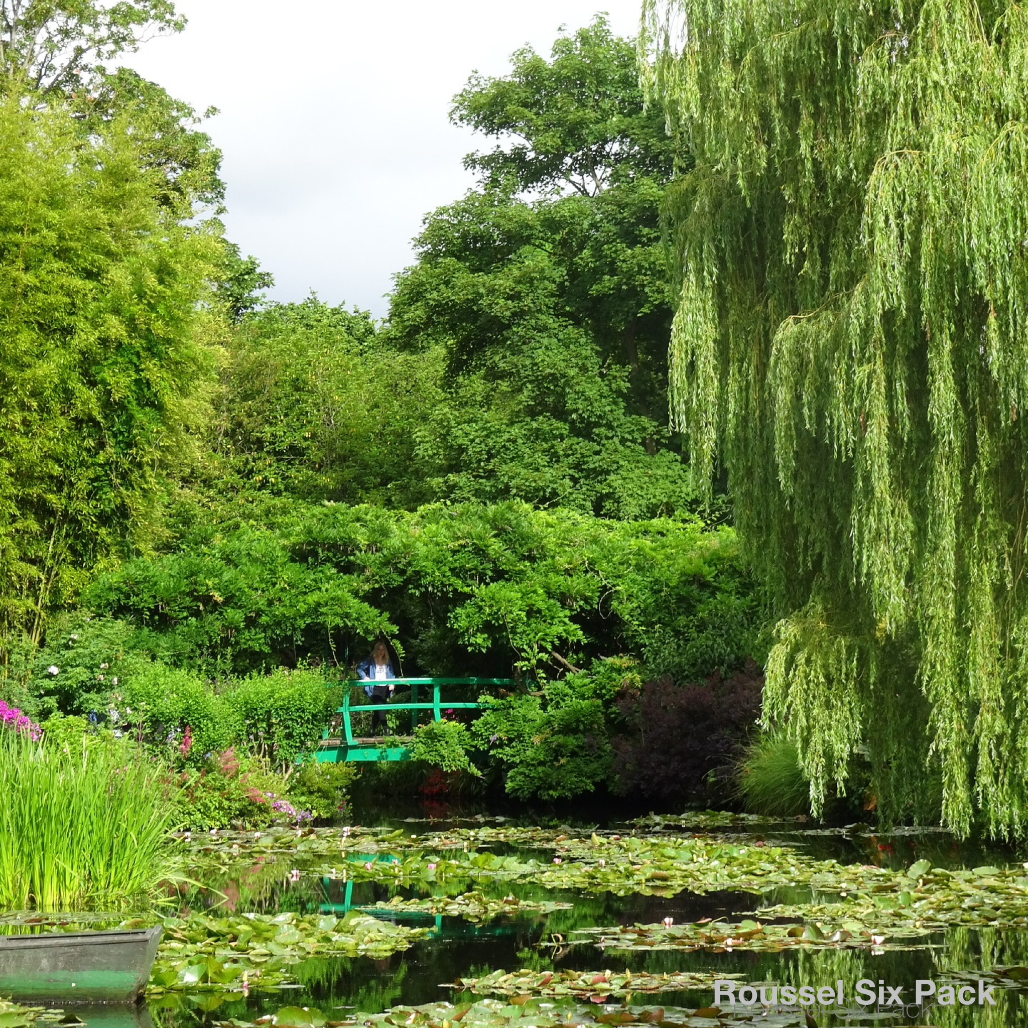 Monet's Gardens: Stepping Back to See the Beauty Right in Front of You