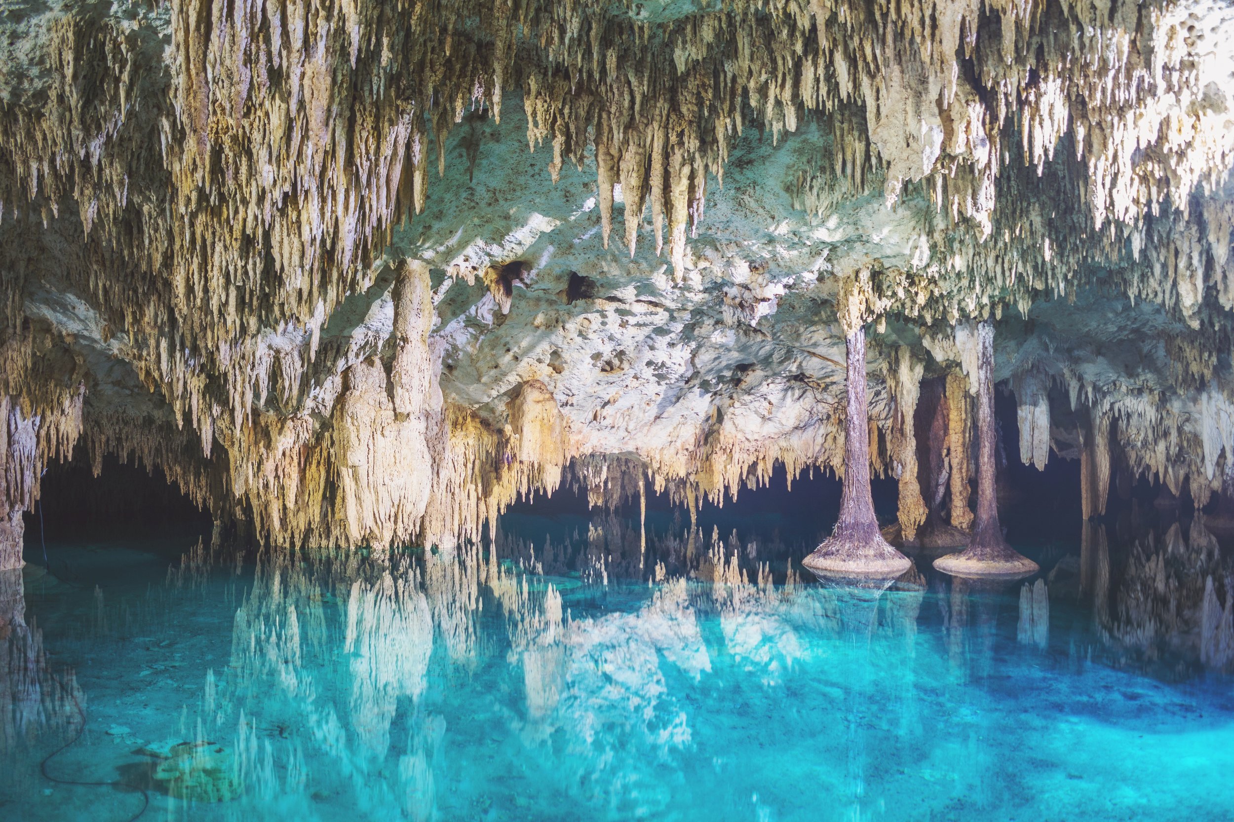 Fresh water Cenote in Akumal. About 25 minutes from our retreat center.