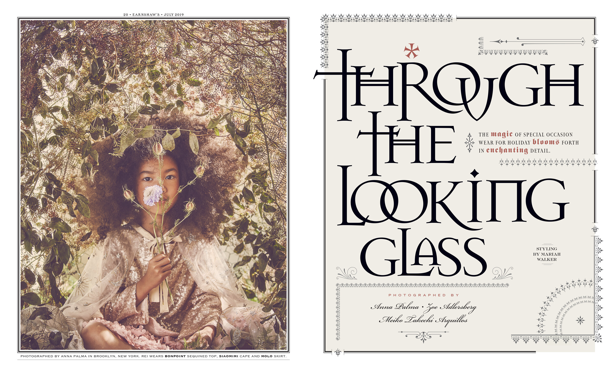 through_the_looking_glass-1 copy.jpg