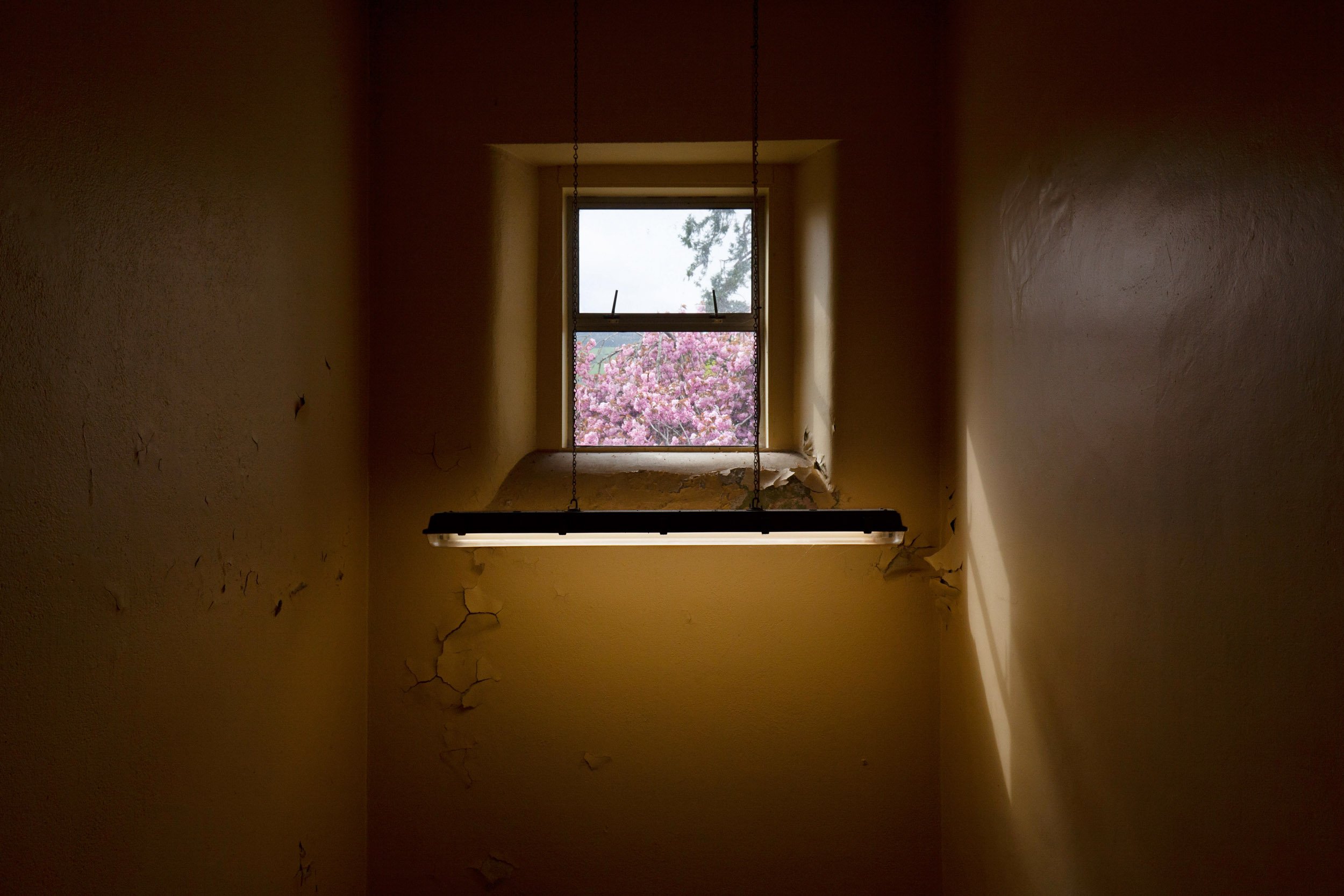   St. Luke’s Hospital, Clonmel, Tipperary (previously Clonmel District Lunatic Asylum)   Est: 1835 - Closed: 2012  Ward Stairwell 