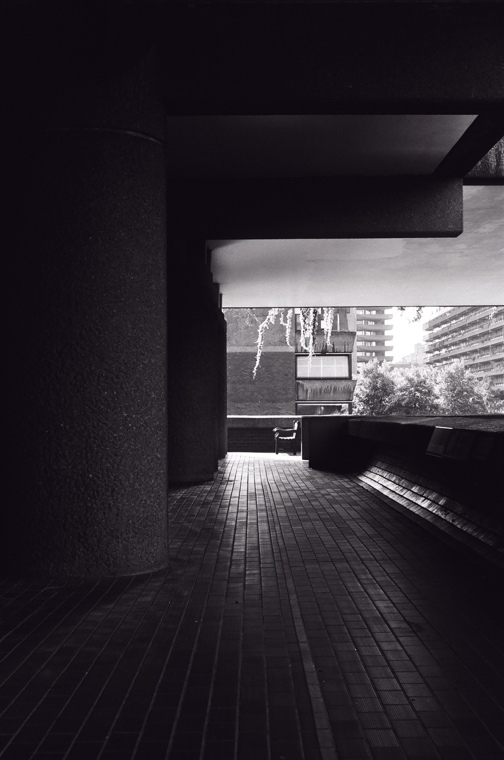 16090001_DK copy.jpg