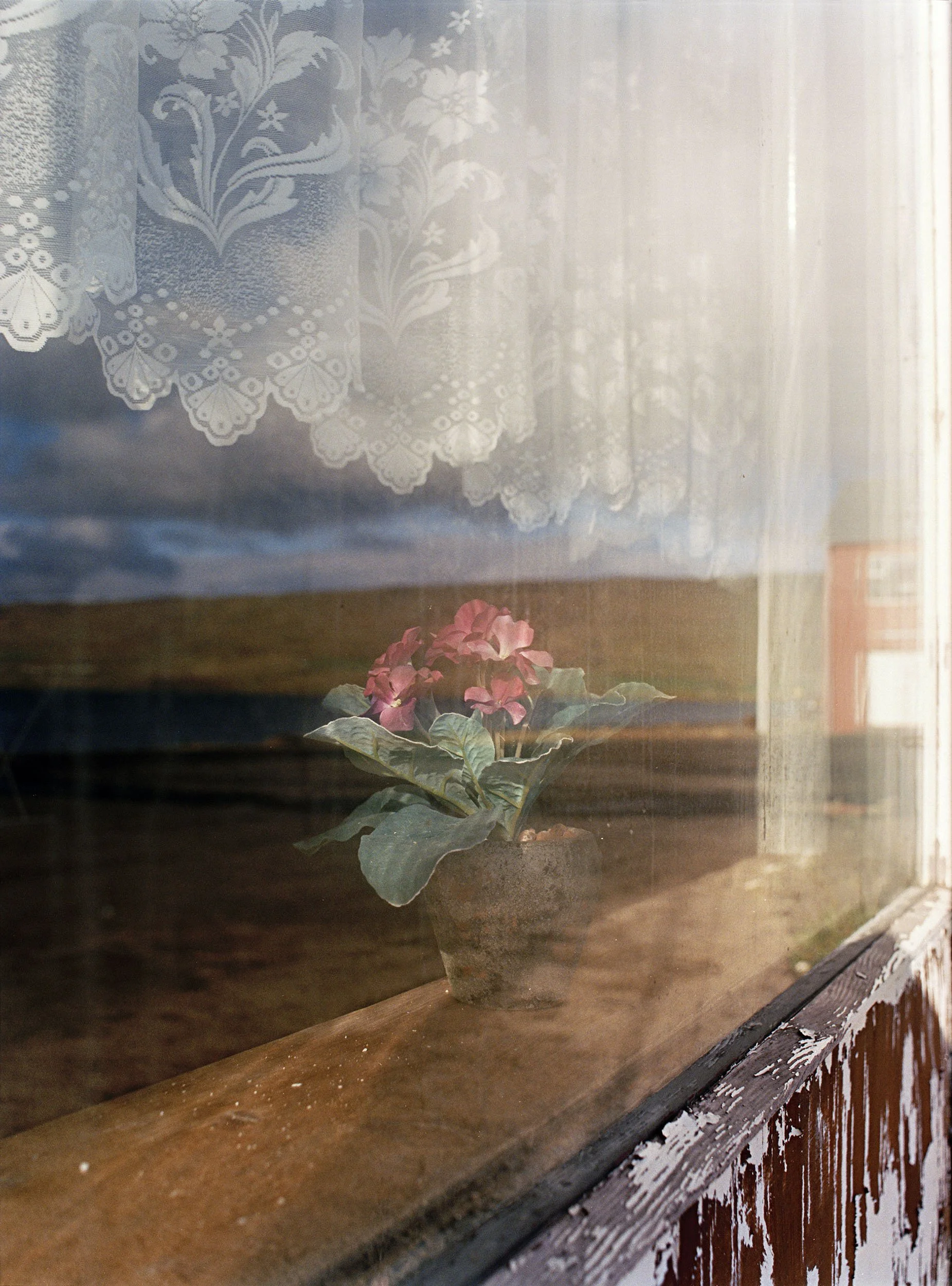 fake_flower_half copy.jpg