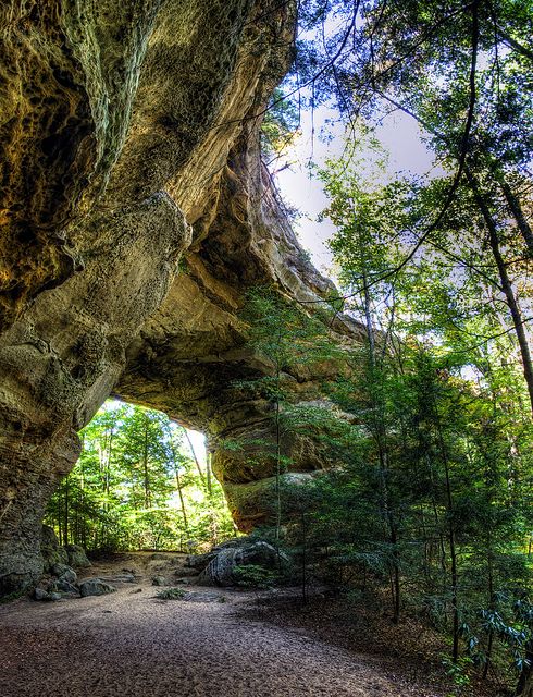 Twin-Arches-Loop-Trail-at-Big-South-Fork-National-River.jpg