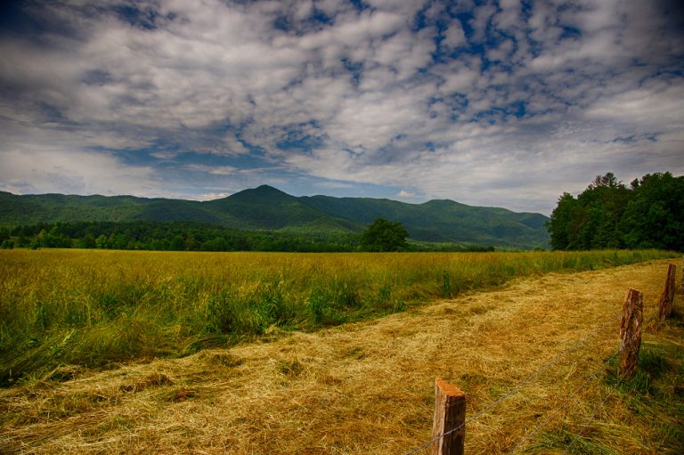 Great-Smoky-Mountains-National-Park-768x511.jpg