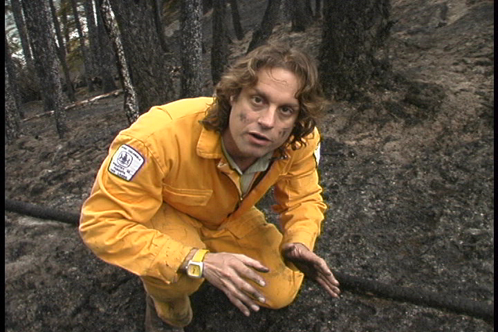 Dr Reese Halter - Fires 18.jpg