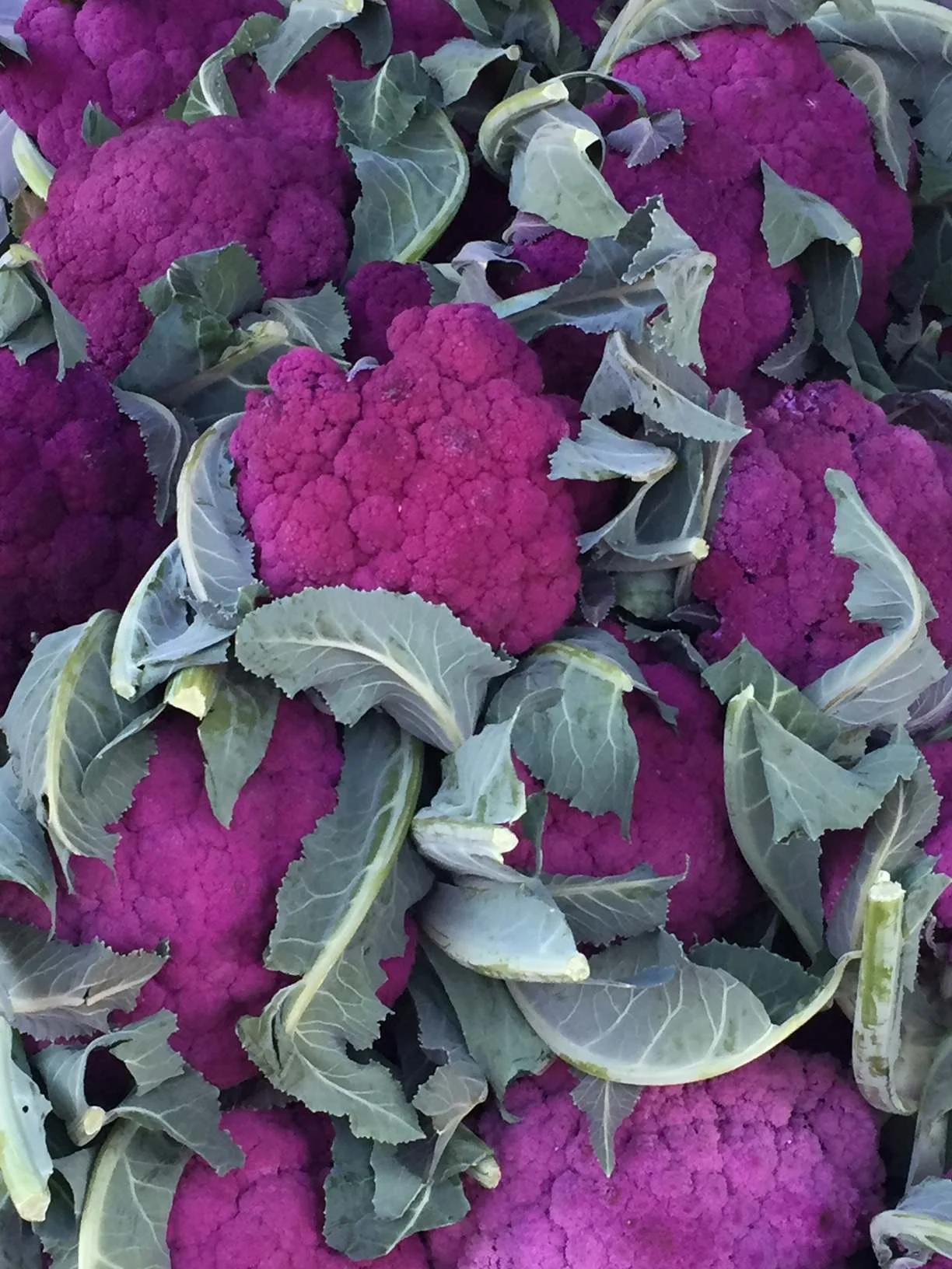 Cauliflower is a powerful vegetable that strengthens intestinal defences. It lowers the risk of inflammatory bowel diseases like ulcerative colitis and leaky gut syndrome. Cauliflower is also high in fiber, B9 and vitamin C. In order to access the enzyme sulforaphane : chop the cauliflower and wait 45 minutes, enough time for it to produce that enzyme, which will then be heat-stable. And don't forget to drink your cooled, nutrient-rich cauliflower boiled water!