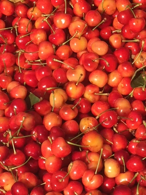 Cherries are brimming with antioxidants, which help to slow aging. Sour cherries have more antioxidants than blueberries. The dark plant pigments, or, anthocyanins, in cherries also reduce pain associated with inflammation. Cherries are delicious for breakfast, lunch or dinner.