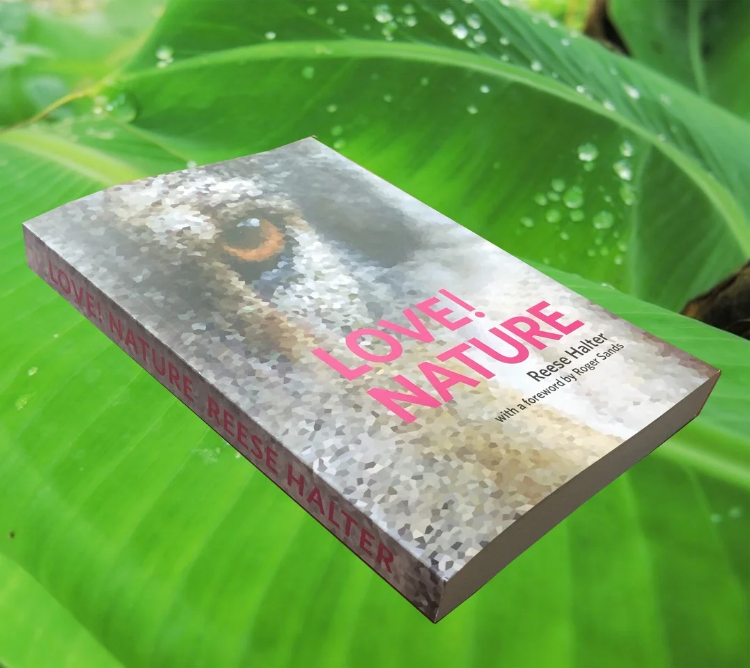 There are many terrific stories on trees in Love! Nature .
