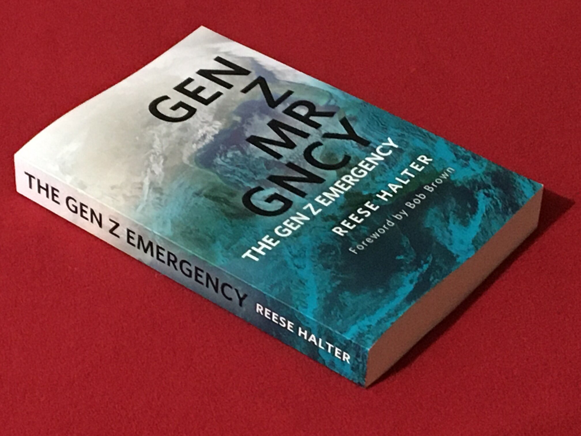The Gen Z Emergency #GenZEmergency Reese Halter.jpg