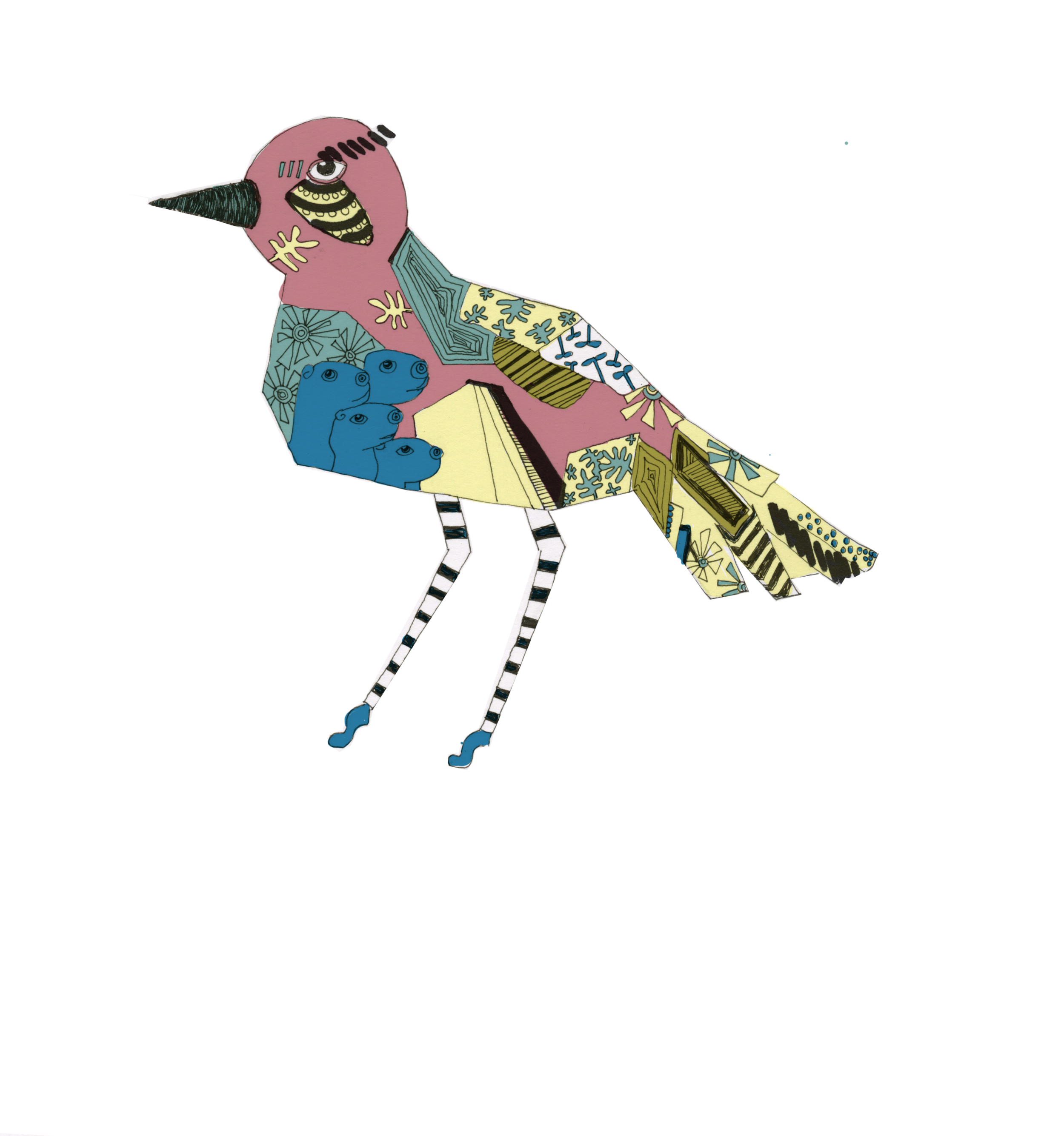 birddogs.png