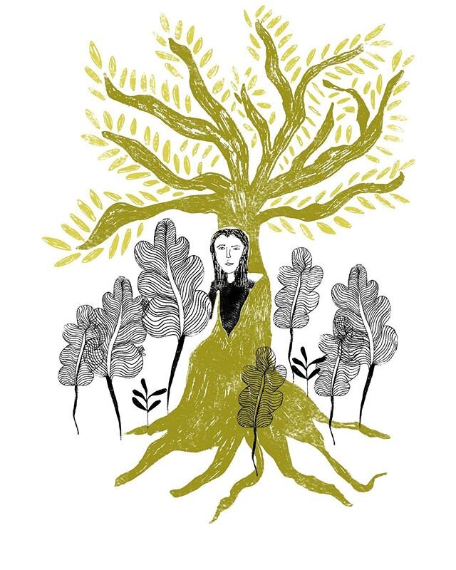 I had a dream I lived in a tree