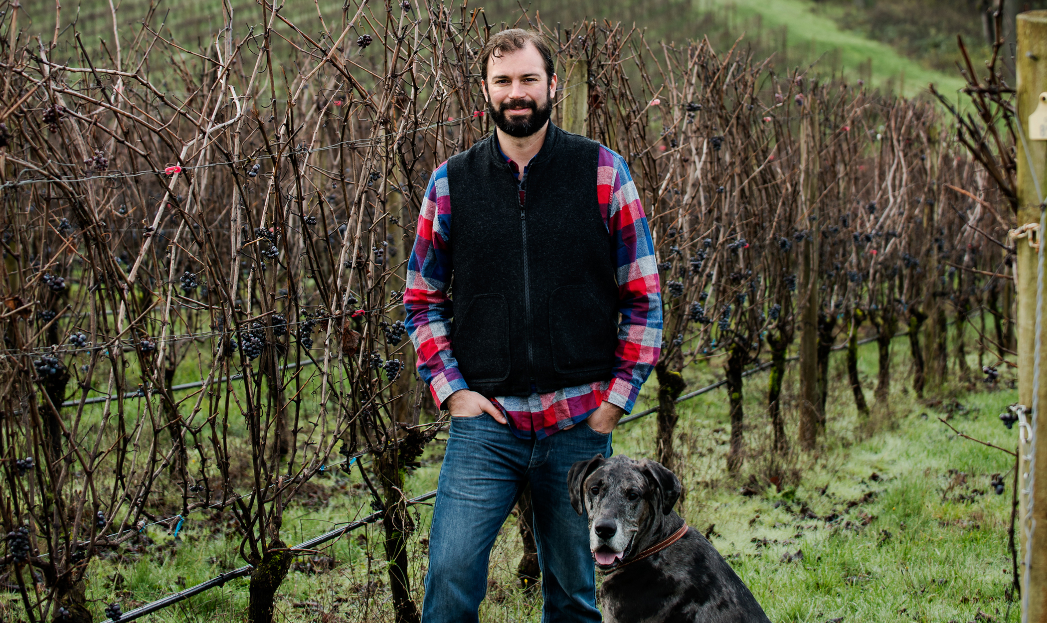 about_us_horz_bobby_vineyard.jpg