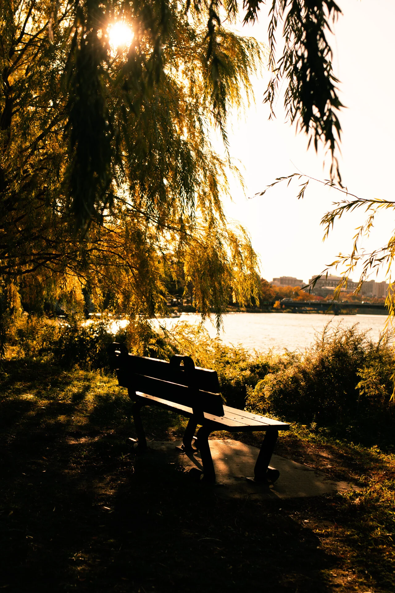 The Perfect Spot To Read