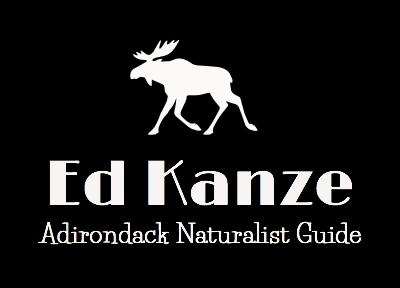 Ed Kanze, Naturalist and Adirondack Guide
