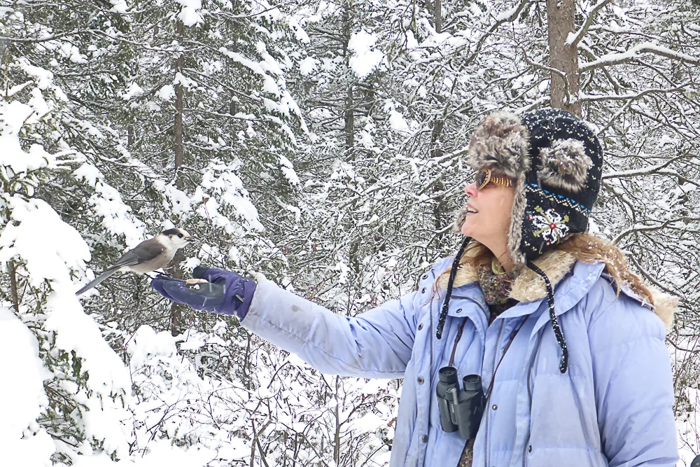 Deb and gray jay.jpg