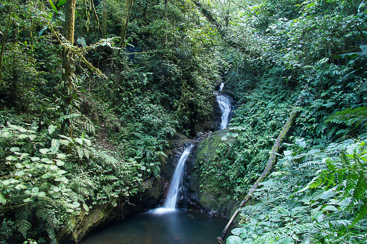 Monteverde waterfall.jpg