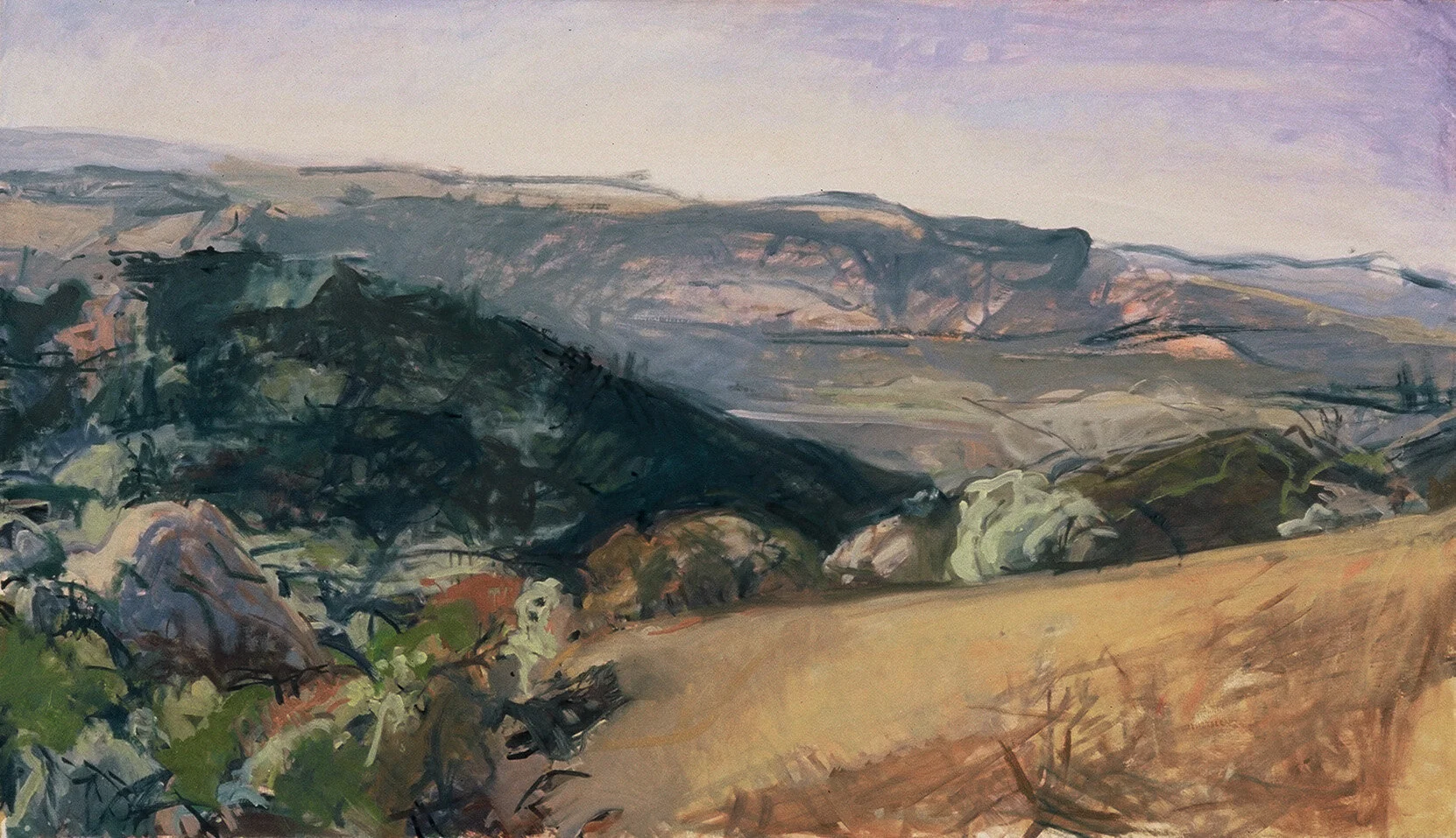 Old Burn and Rocks, Mt Diablo