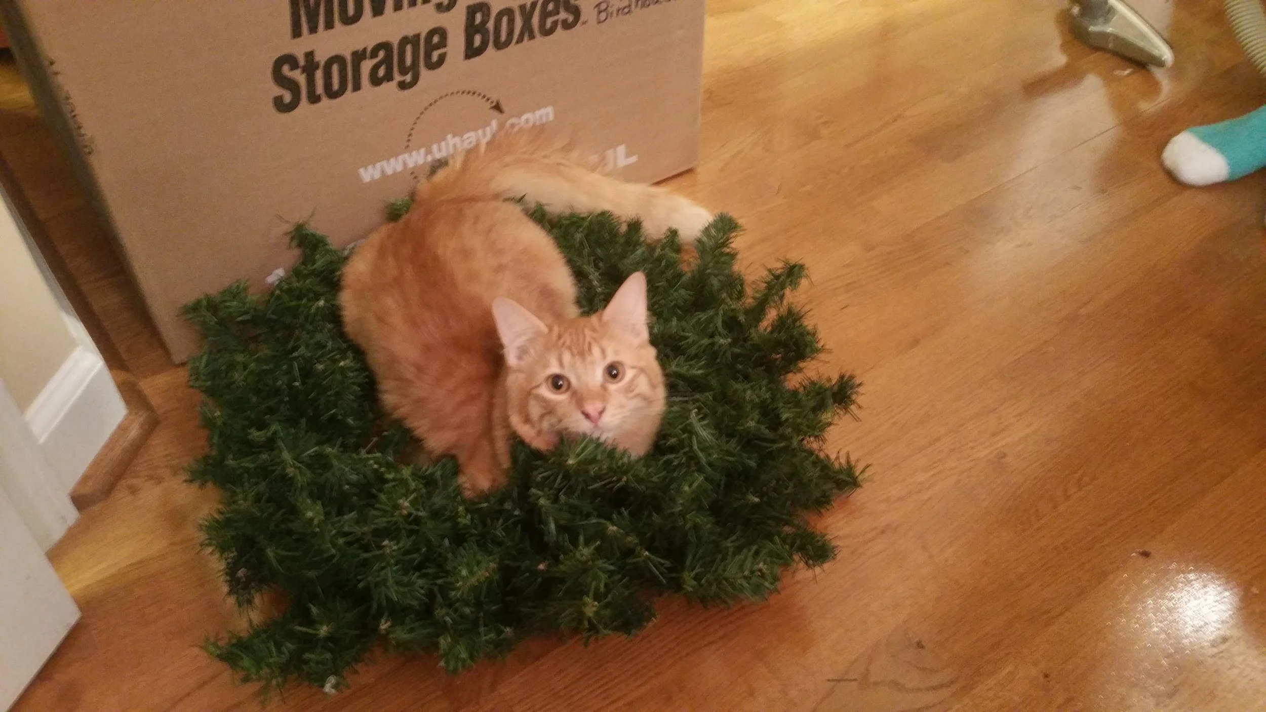2016-12-19 17.28.59.jpg