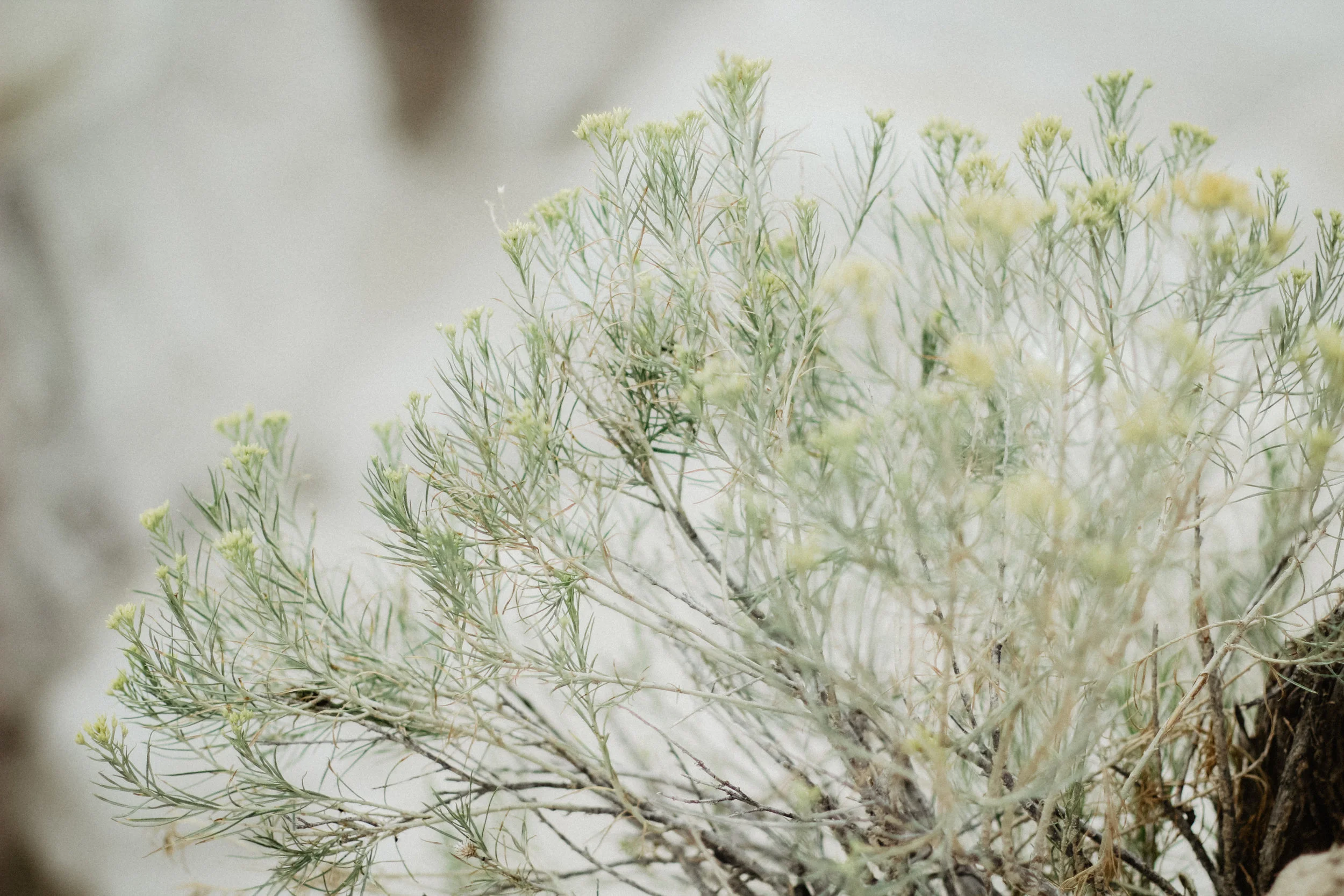 runningriver+summershoot+73.jpg