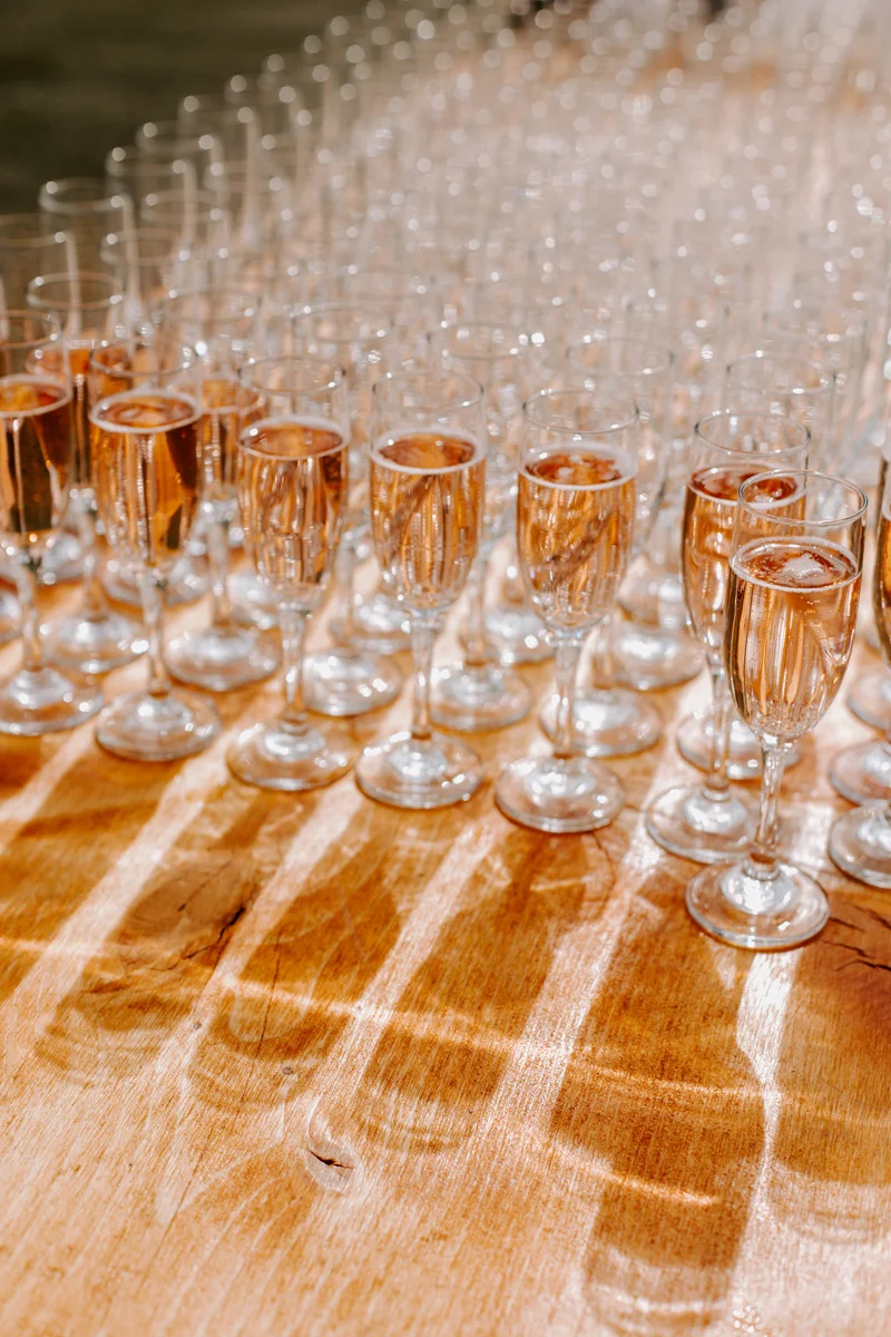 W+J_CampHaleWedding_73.jpg
