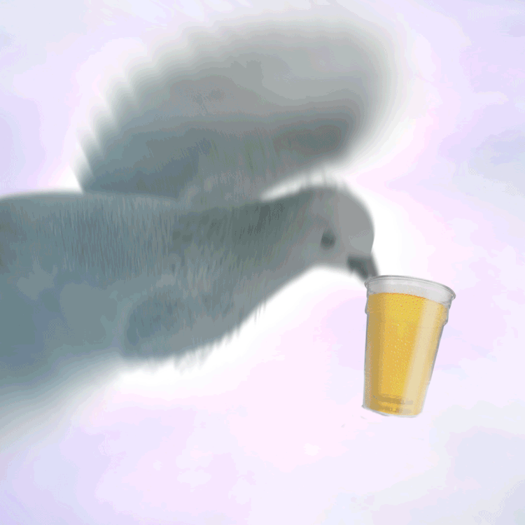 DoveBeer.gif
