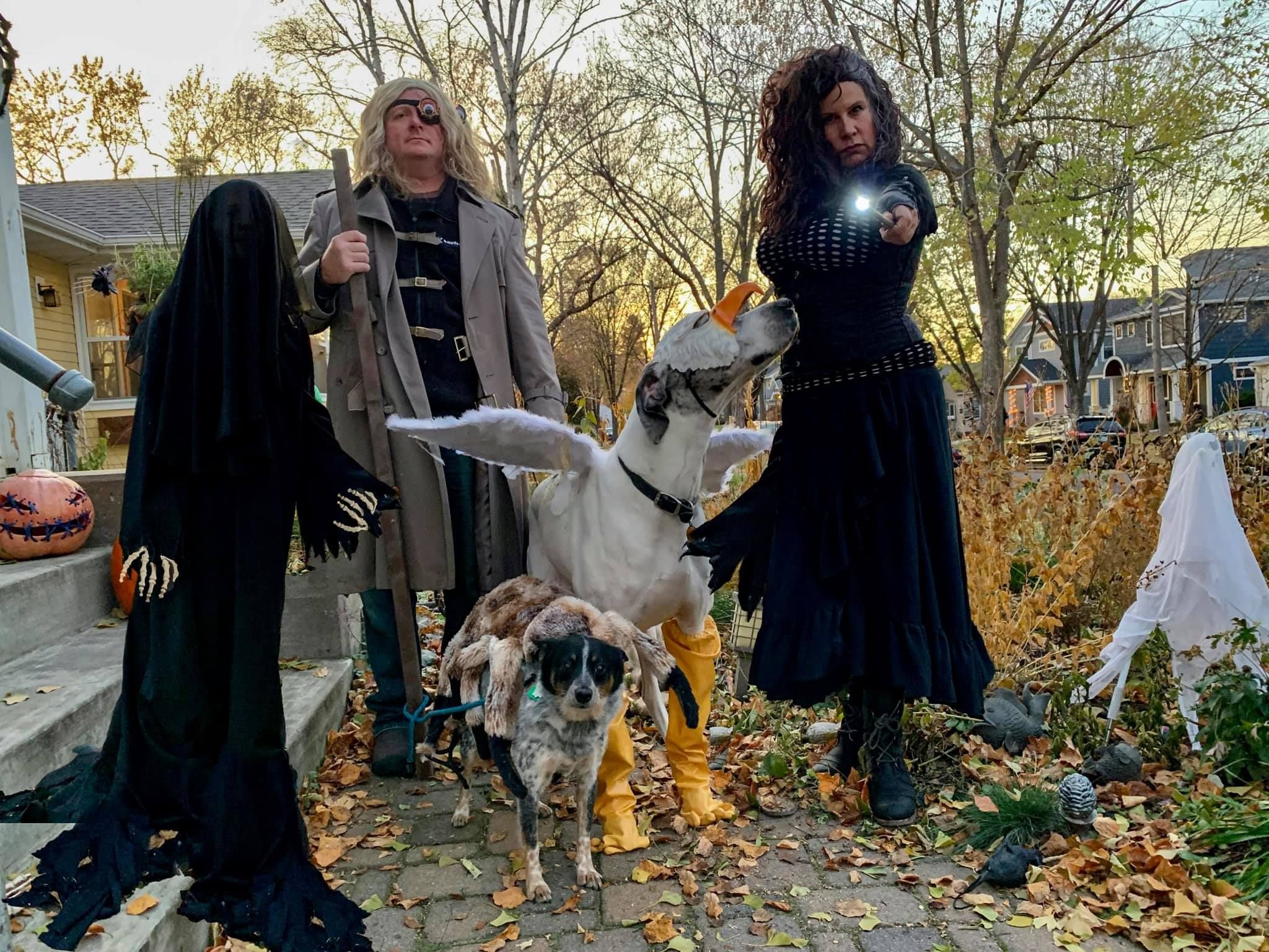 Hogwarts — Dementor, MadEye Moody, Aragog, Buckbeak, Bellatrix
