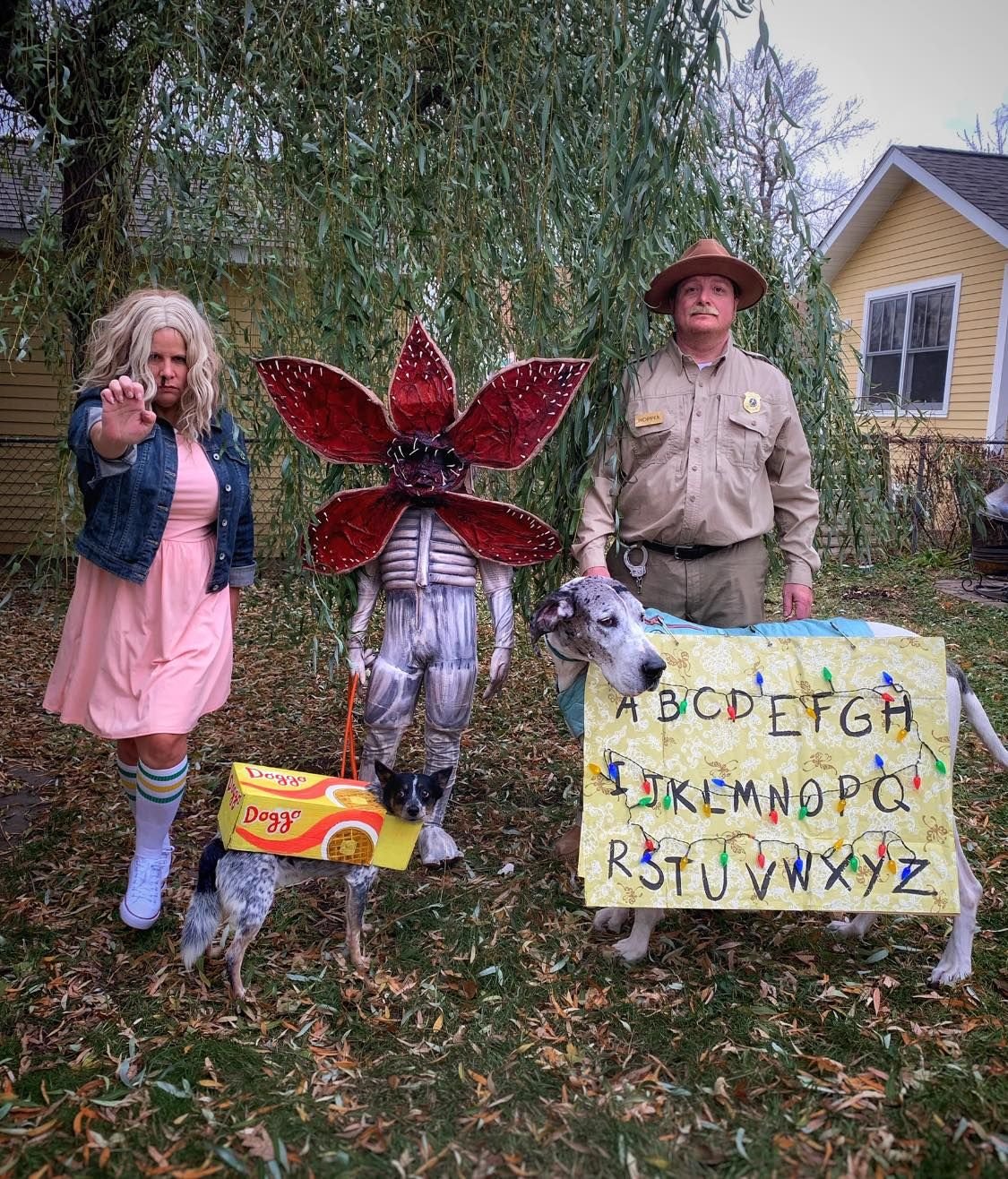 Stranger Things — Eleven, Eggo (doggo), demogorgon, the wall