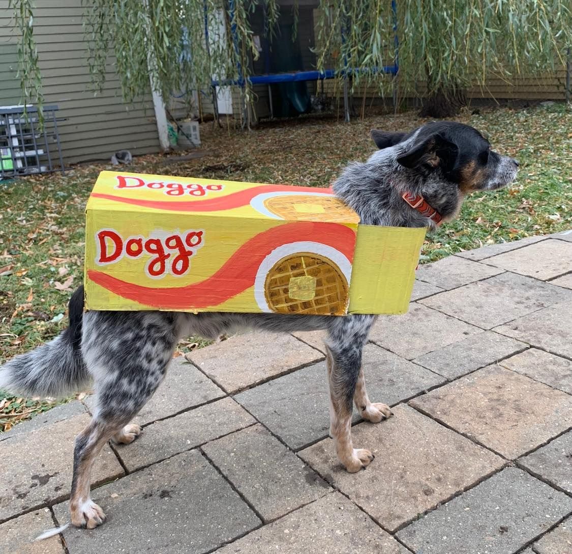 Stranger Things — leggo my doggo