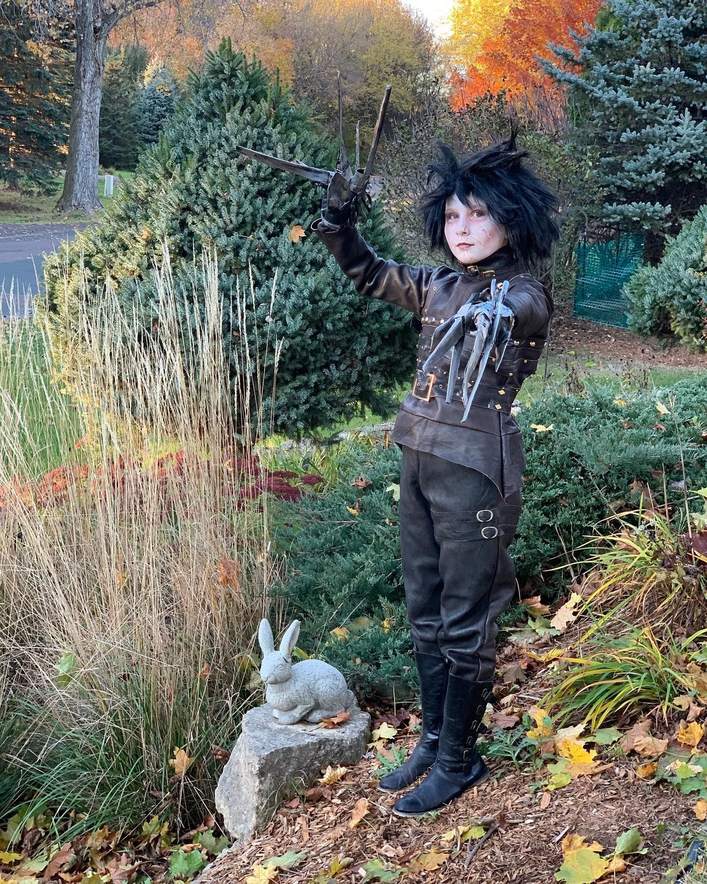 Edward Scissorhands in the wild