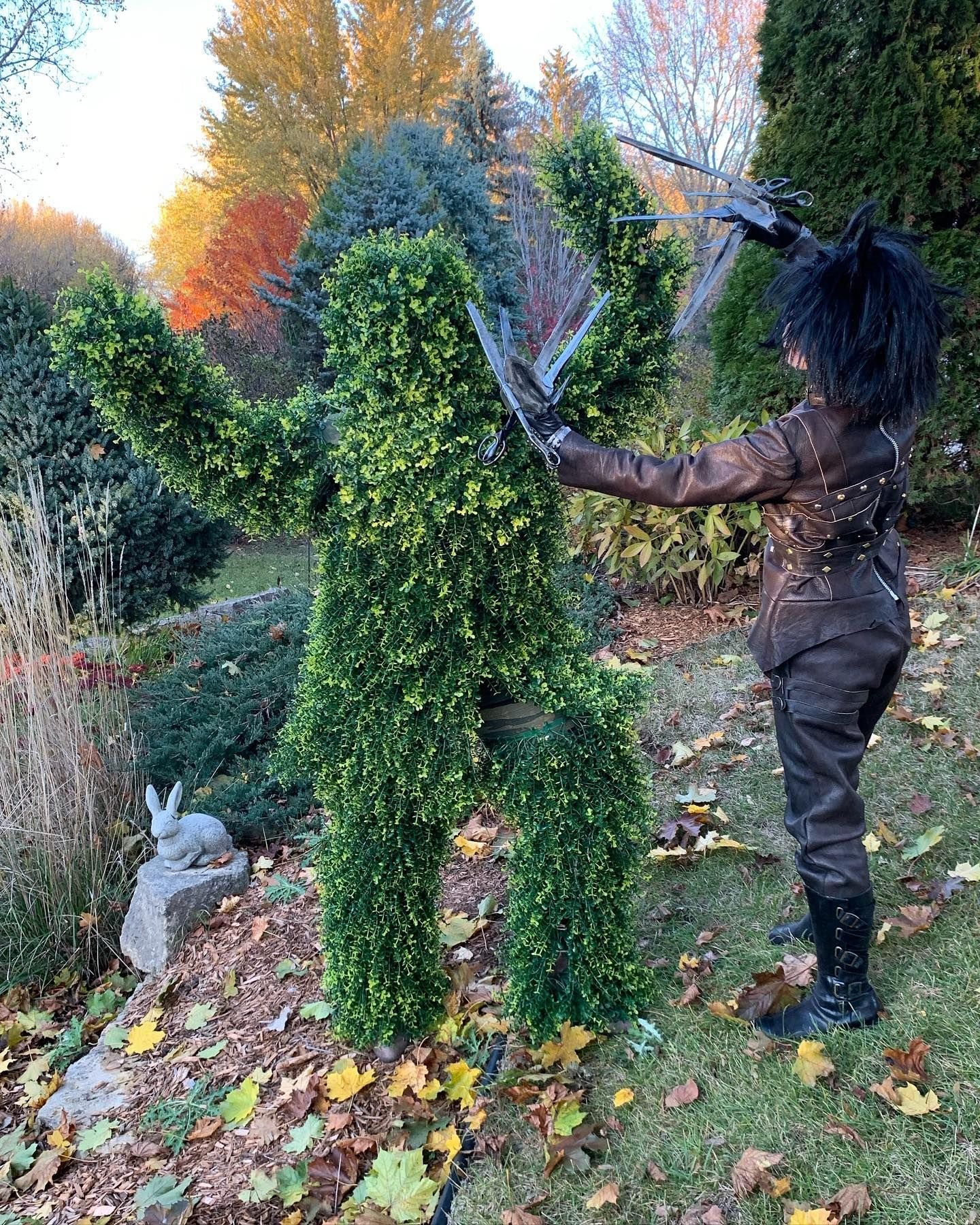 Edward Scissorhands giving the living shrub a trim
