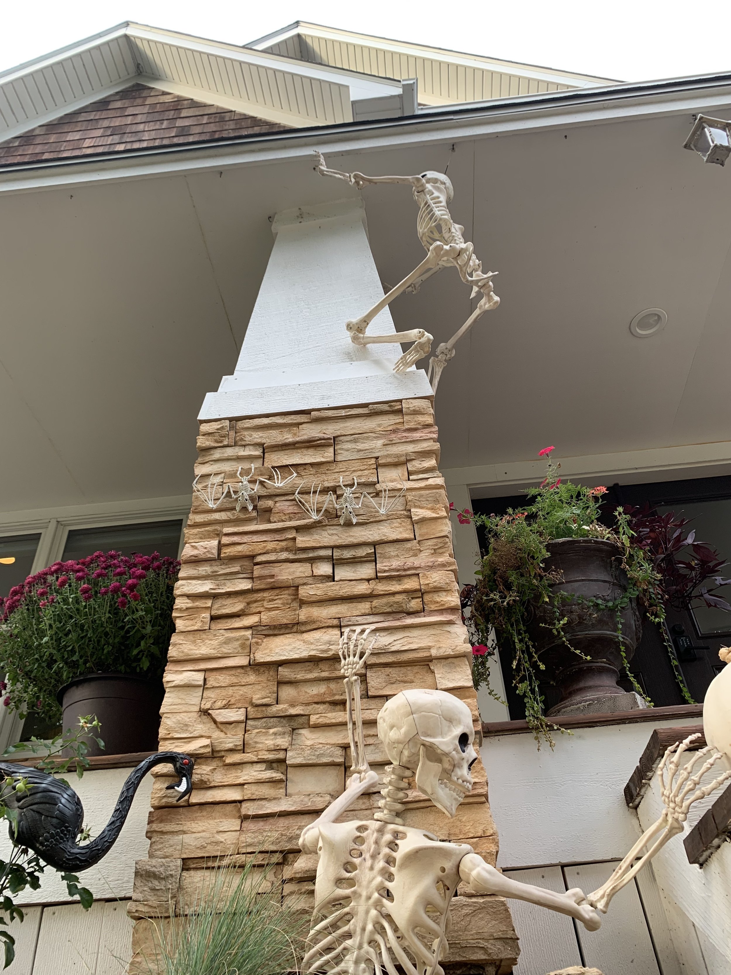 Halloween 2022 Skeltons