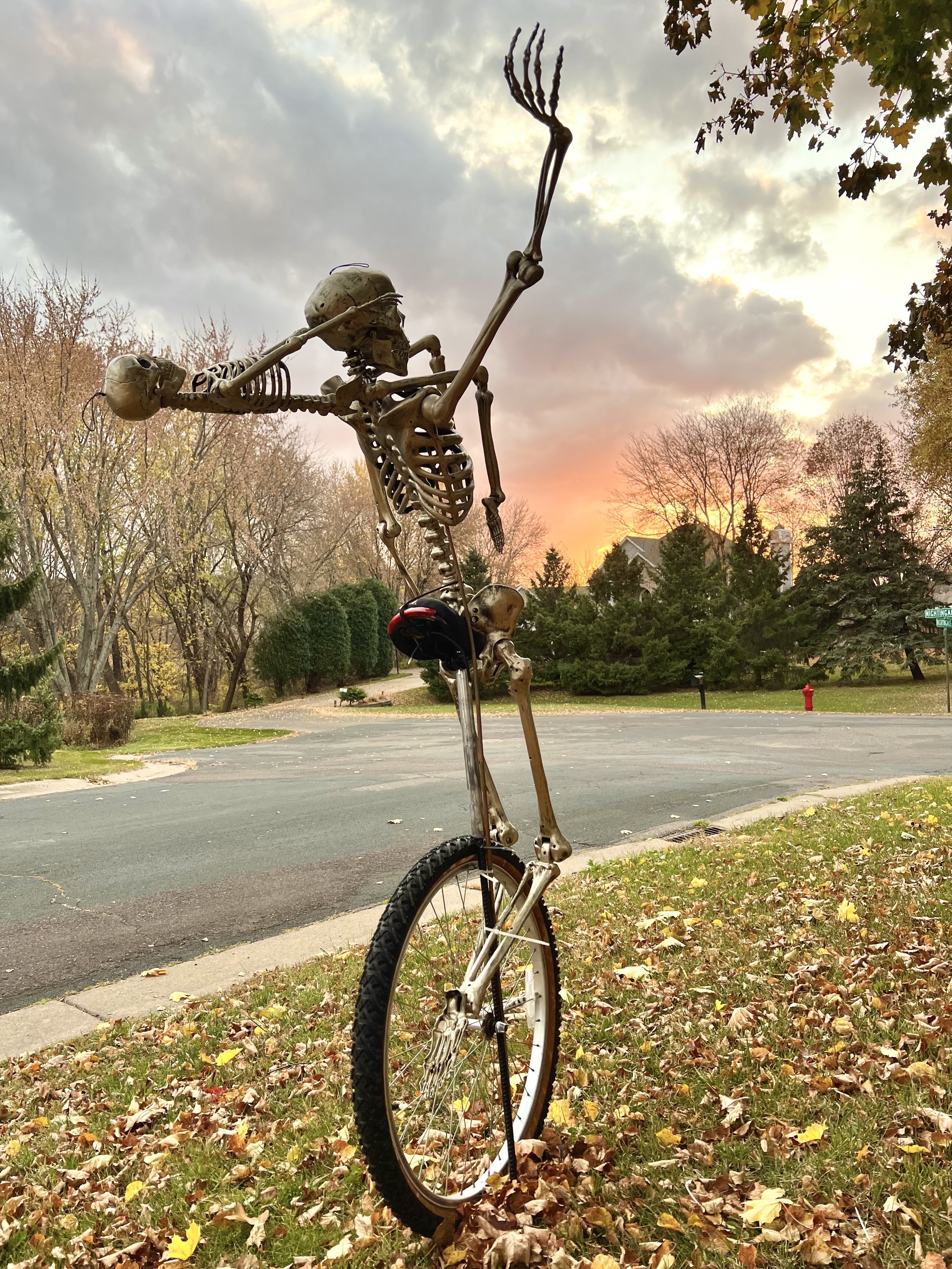 Cidrque du Ghouleil unicycle