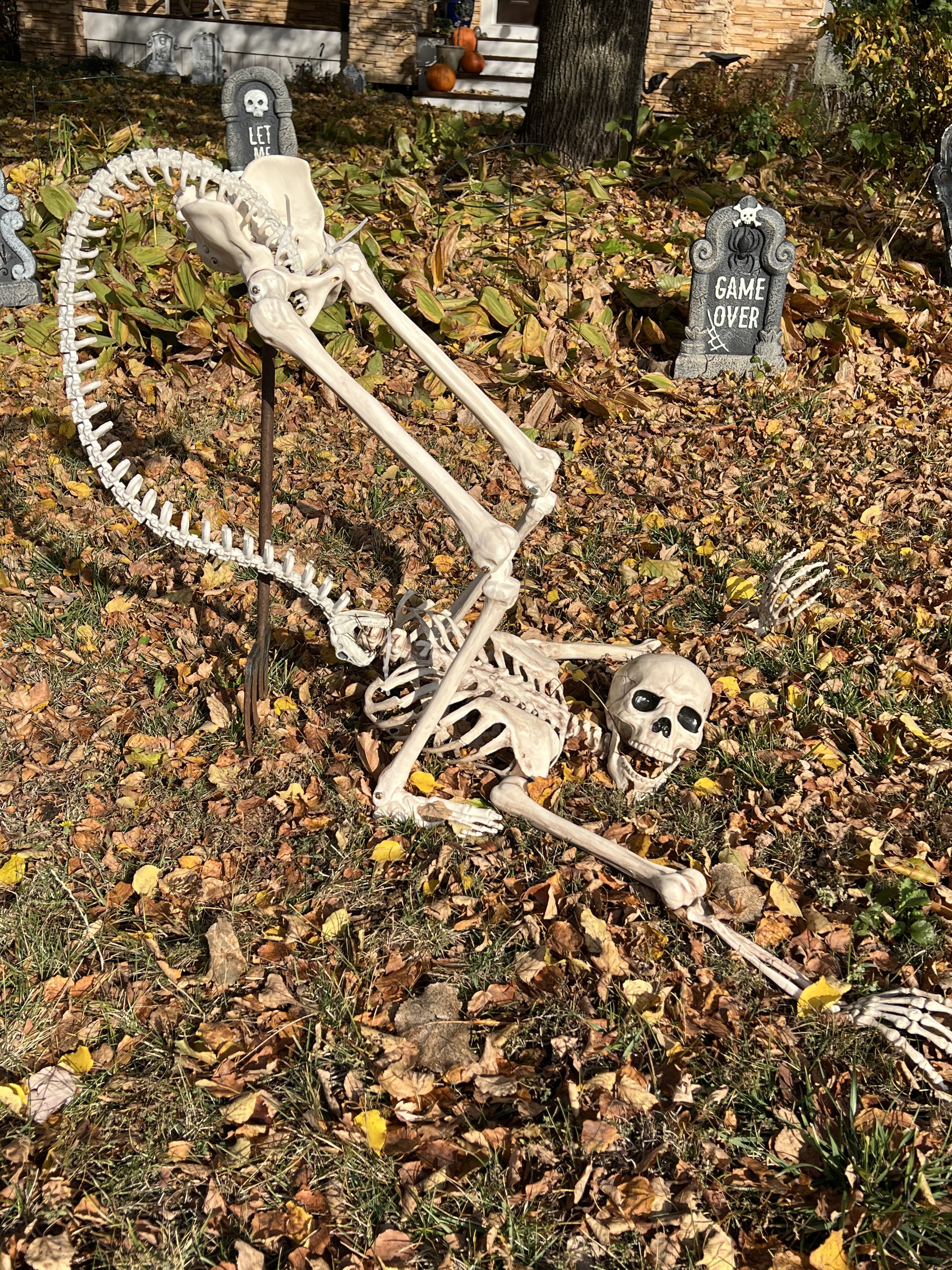 Cirque du Ghouleil contortion