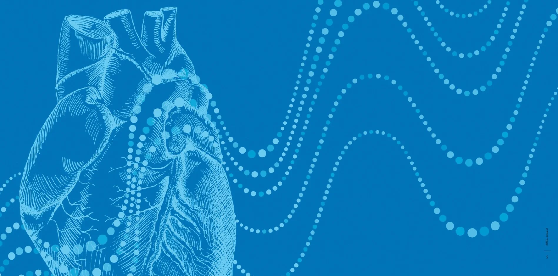 Screenshot 2025-05-27 at 2.16.18 PM.jpg