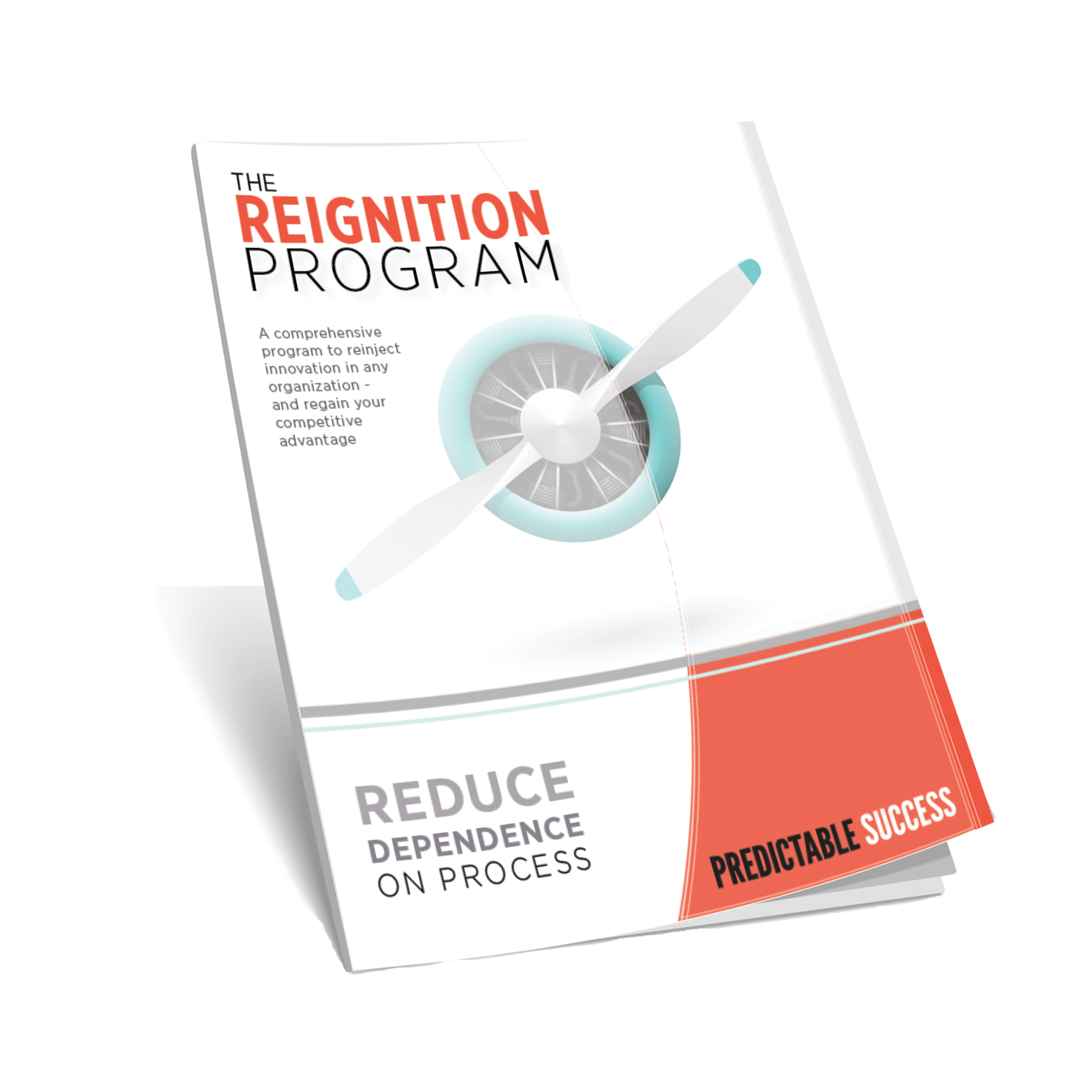 Reignition_Brochure_TN.png