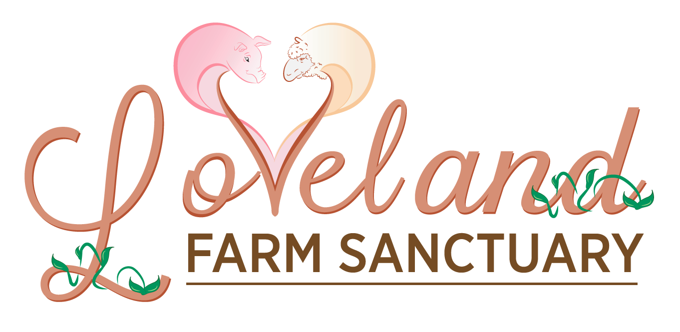 Loveland_Logo_1.23.17.png