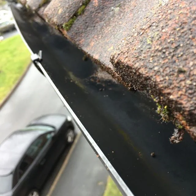 It&rsquo;s that time of the year to get all your gutters cleared and cleaned out. Most will be full of dead leafs and muck, stopping the gutter working and could cause damage// Get in contact for your free quote today// link in bio