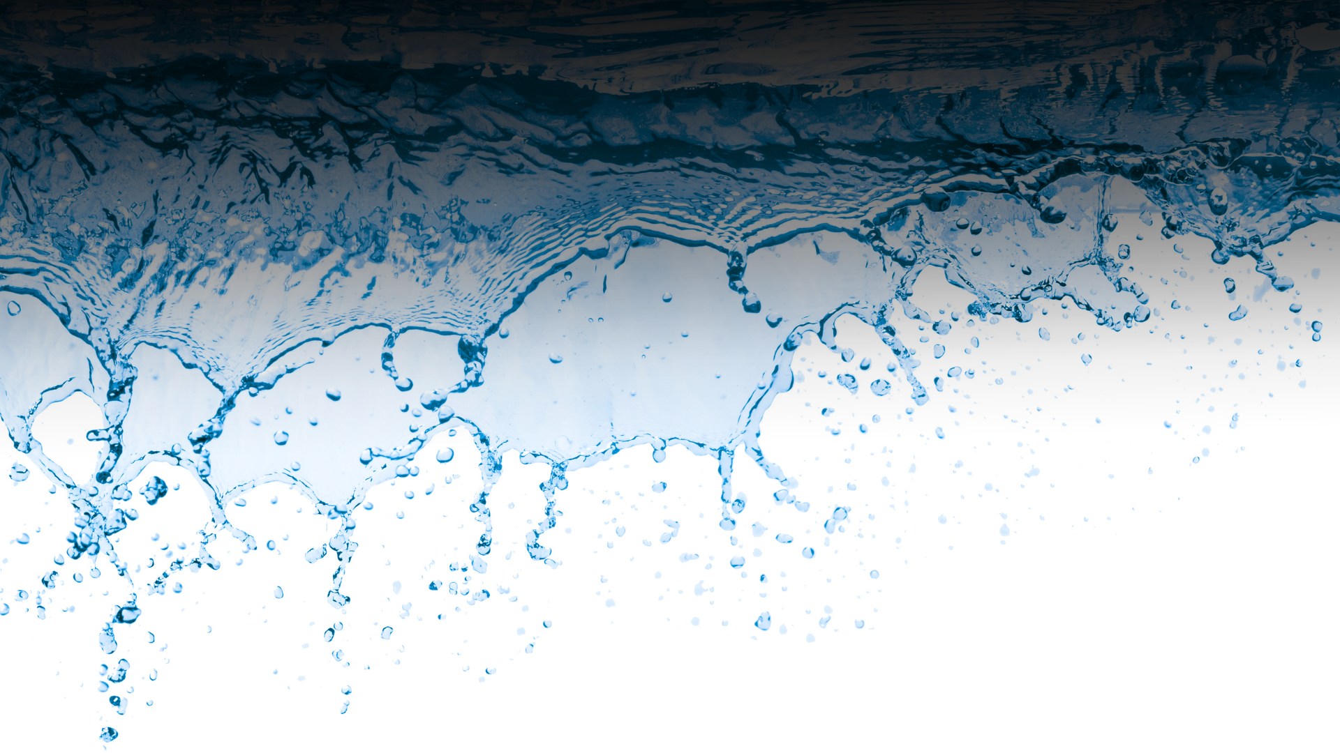 _(1920 × 1080 px) (33).png