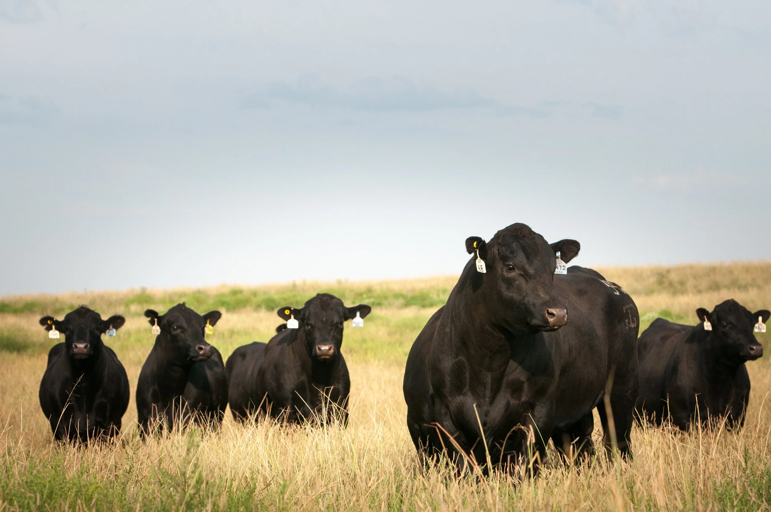 GAR 20140814 132-Edit.JPG