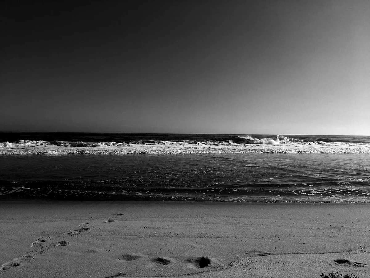 ©df_beachbwopt.jpg