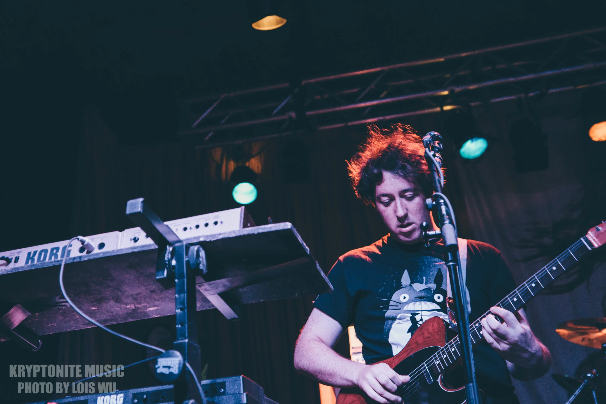 WOMBATS-1.jpg
