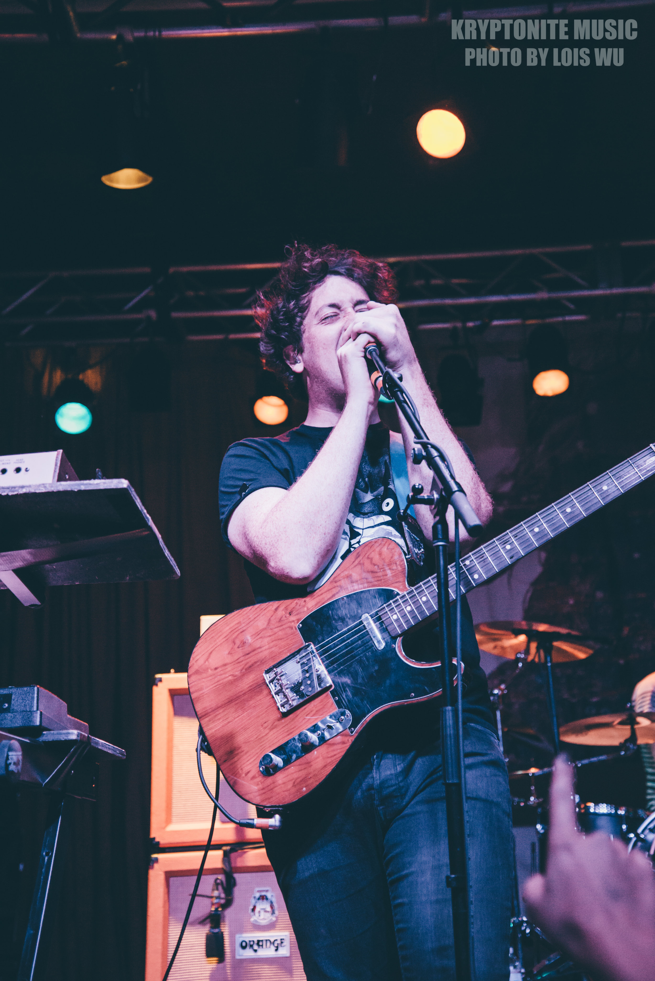 WOMBATS-6.jpg