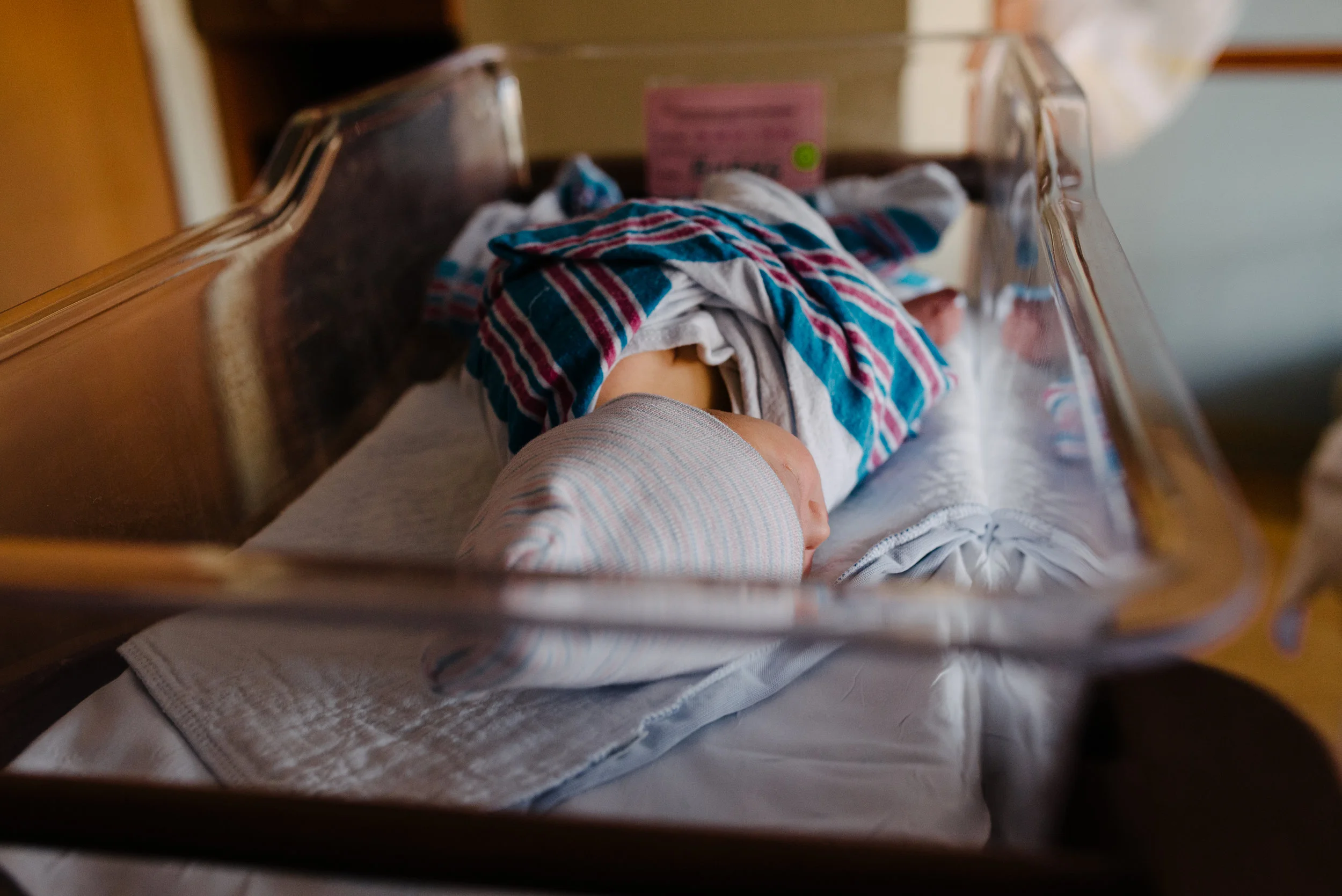 Teagan-7.jpg