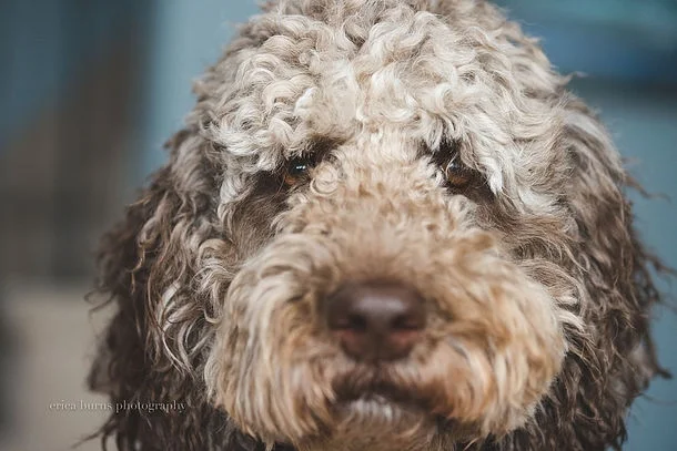 "Windows to the Soul"