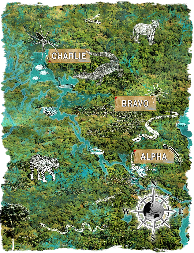 XL OVERVIEW REF 4.png