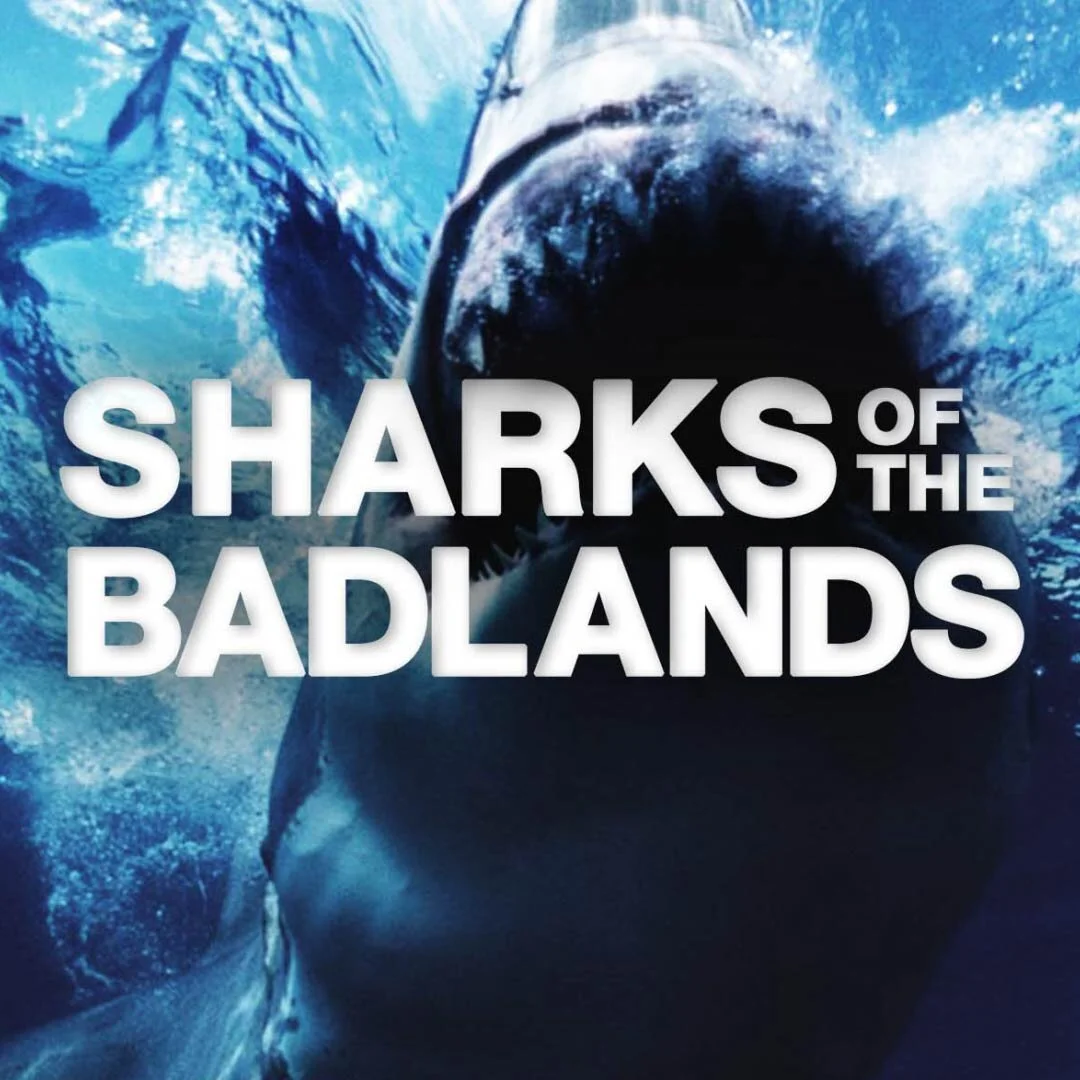 1x1_SHARKS OF THE BADLANDS.jpg