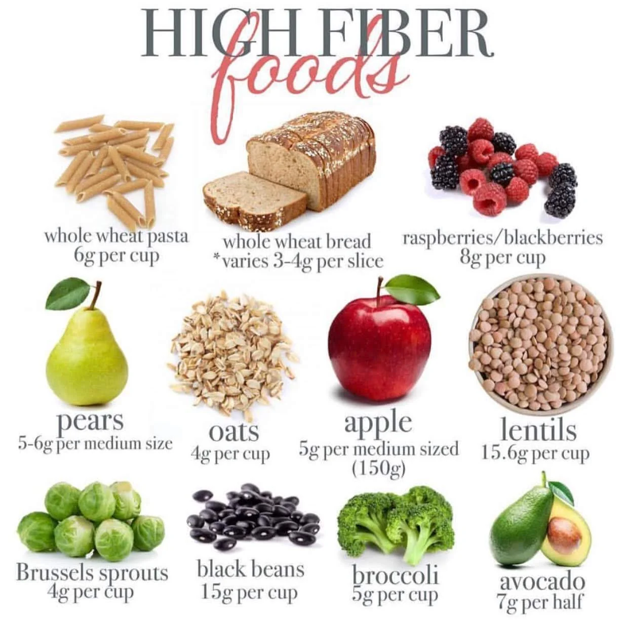 Fiber Graphic.jpg
