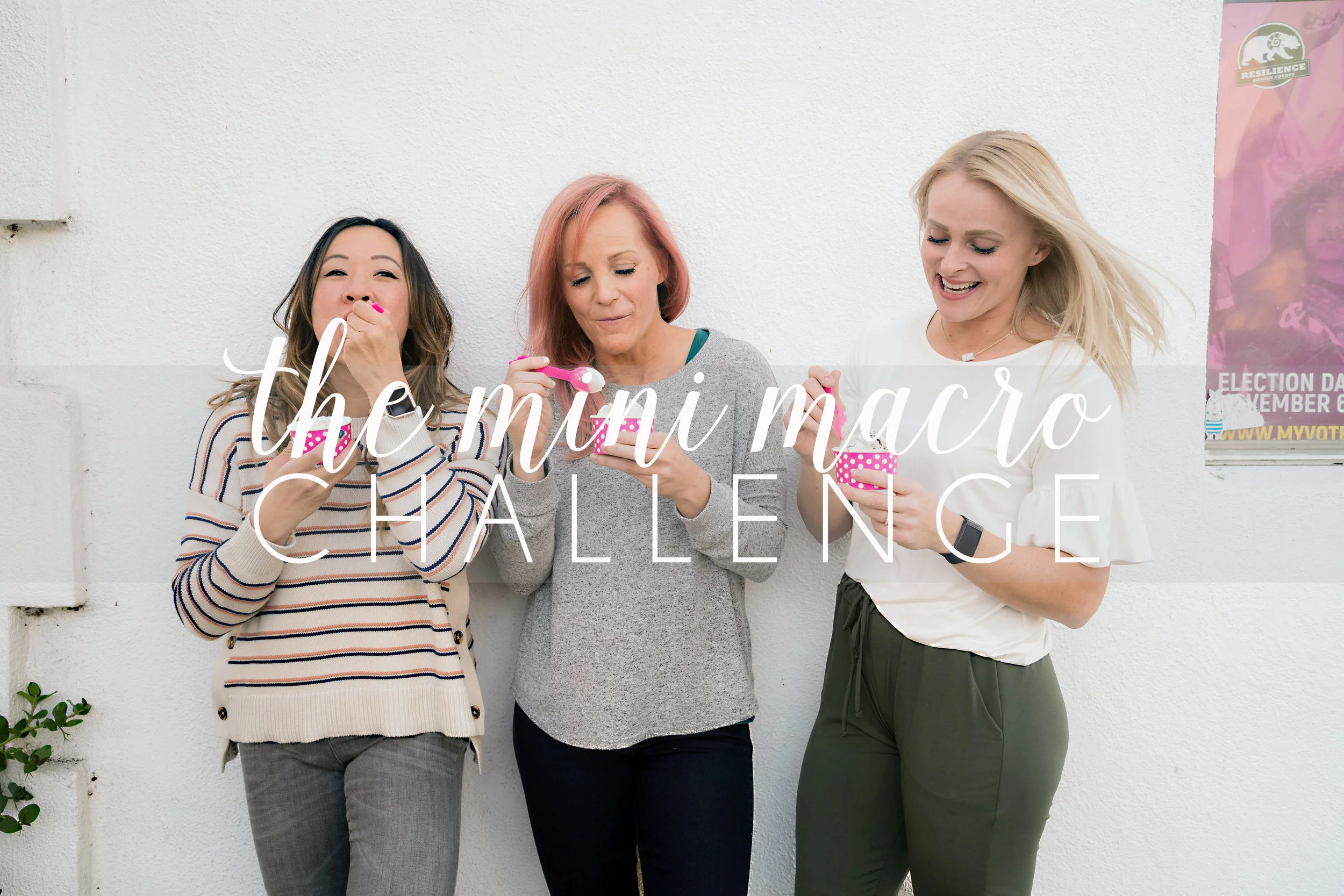 The Mini Macro Challenge Cover 3.jpg